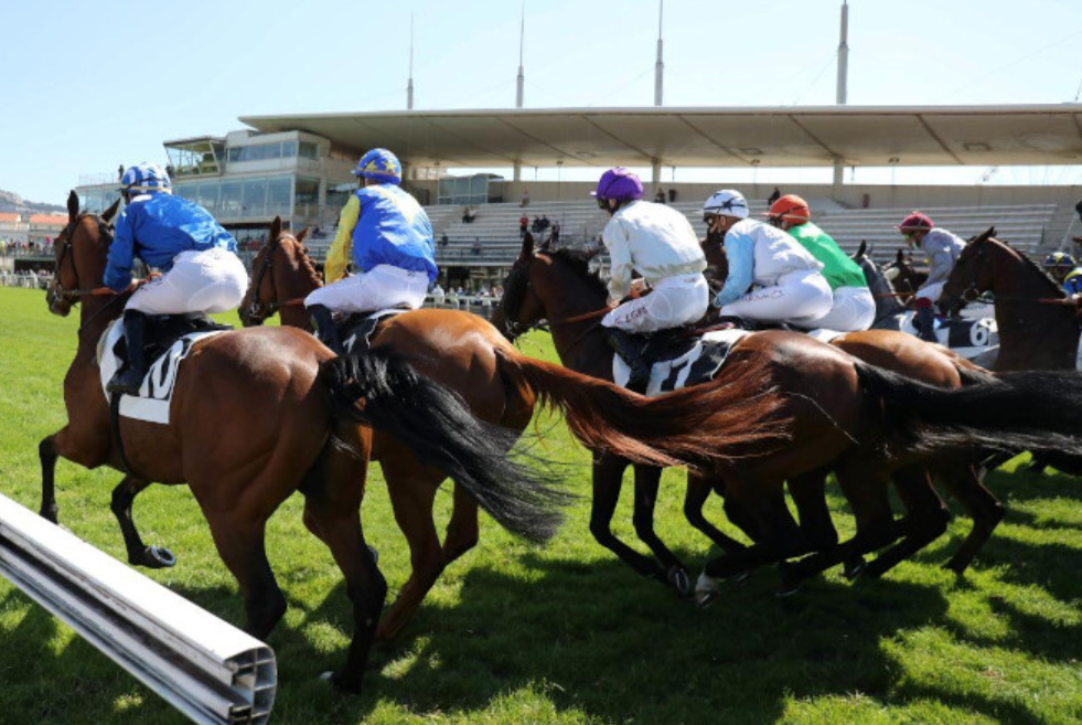 parivrai || parivrai vip || parivrai winning placed couple || parivrai winning couple || parivrai turf || parivrai pmu || pmu parivrai || parivrai vip free